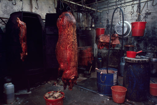 A roasted pig carcass cooling after being removed form the large cylindrical ovens